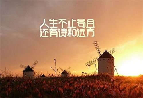 你要的诗和远方来了广东将选派290名援藏援疆教师