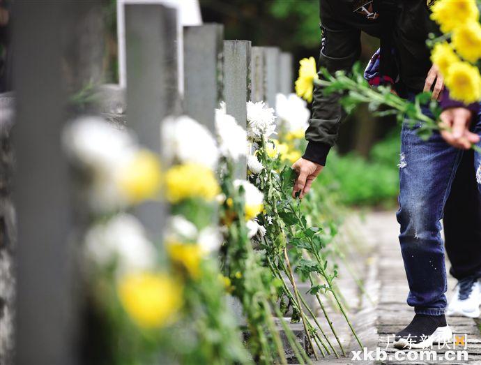 清明扫墓 这些便民措施方便您|银河公墓_新浪财经_新浪网
