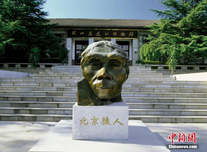 资料图:北京房山区,周口店遗址博物馆前的北京猿人铜像。 谭明 摄 图片来源:CTPphoto