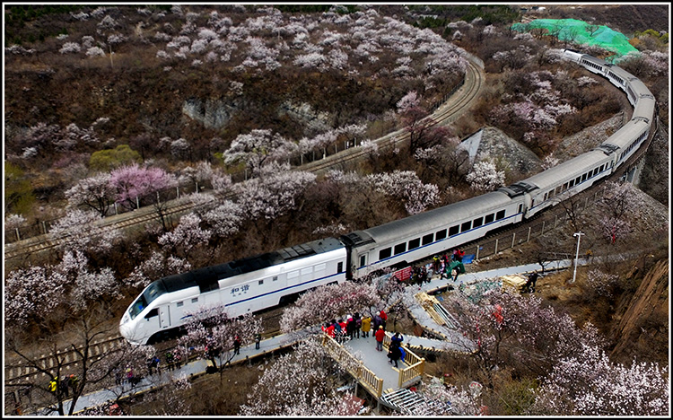 营养膏排行榜_上半年融资超60亿宠物营养膏注射器前景可观