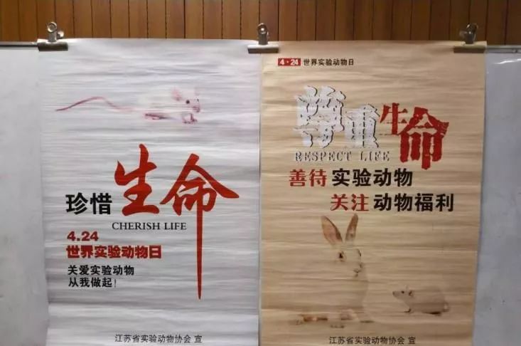 百科424世界实验动物日关于实验动物你所不知道的哪些事儿