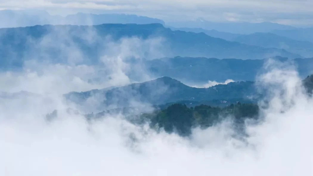 綦江 | 处暑出游,登高迎秋。|度假区|古剑|音寺_新浪新闻