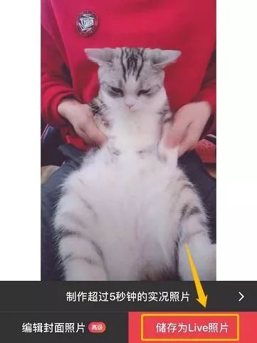 如何将抖音视频变为iPhone动态锁屏?超简单!