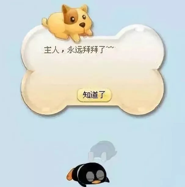 早读丨qq宠物停运这波青春回忆杀能看懂的都老了