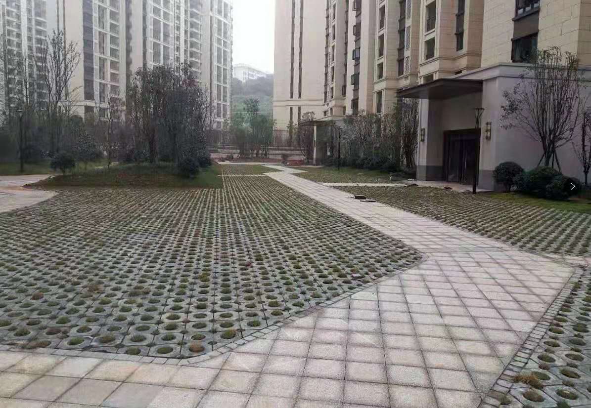 “北辰中央公园”小区的“人工湖” 和“植草砖” 受访者供图