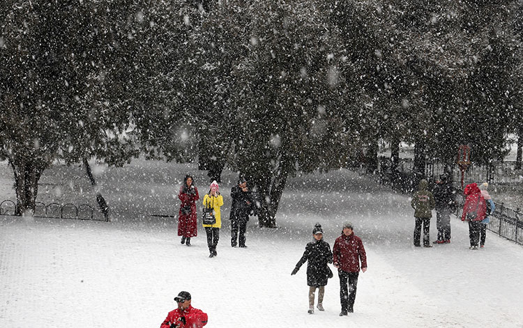 大雪再临摄影记者教您拍雪景|雪景_新浪财经_新浪网