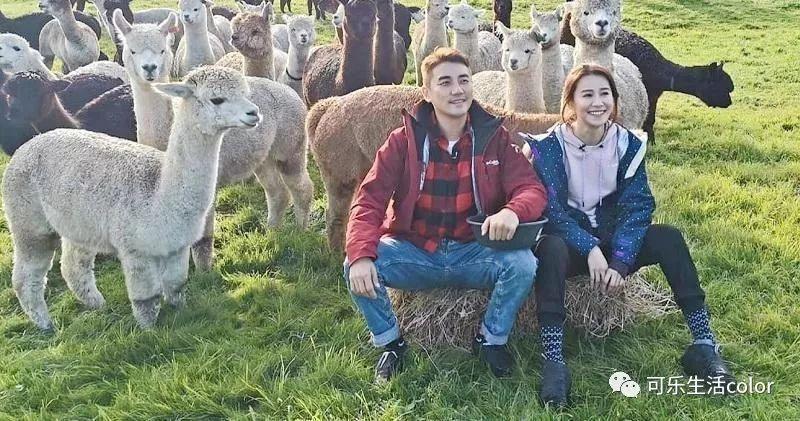 今次嘅节目铺排係有d剧情嘅,洪永城话係讲,佢哋10年后去翻同一个地方