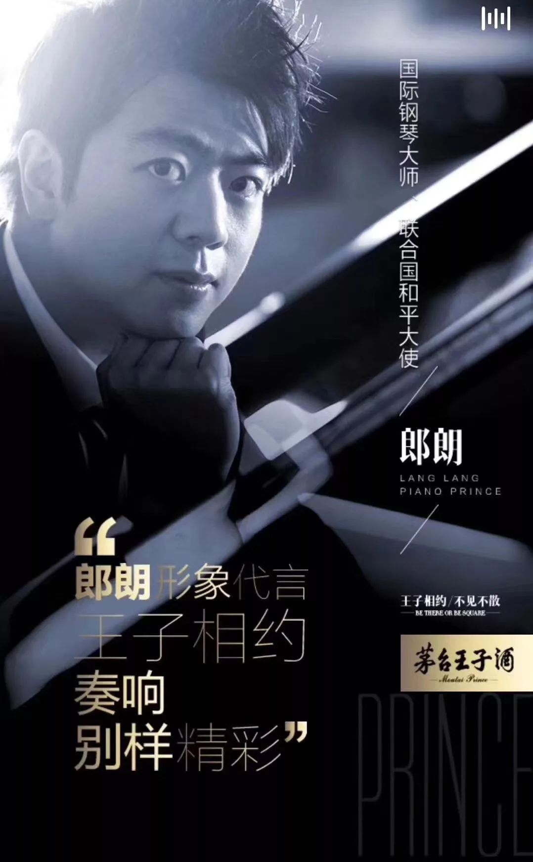 琴心酒话郎朗自曝与茅台王子酒的缘分热点追踪