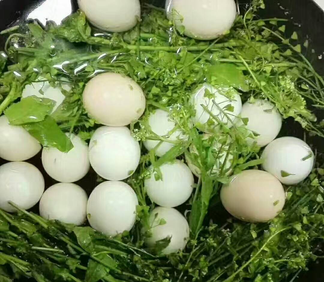 三月三地菜煮鸡蛋现身学生四食堂图文