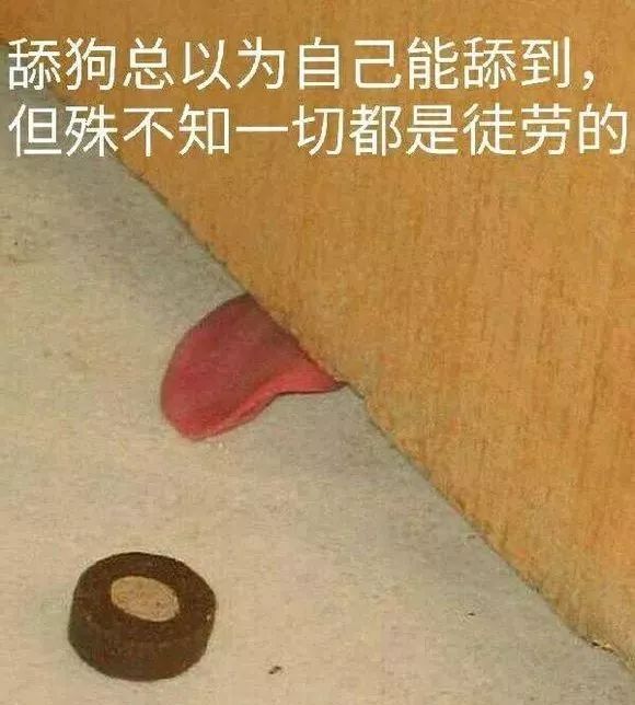 转账给女神和她男友去约会,舔狗有多心酸?