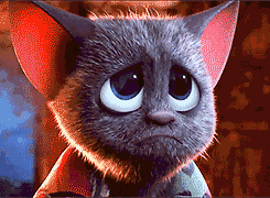 胖了瘦瘦了胖为什么减肥后会反弹