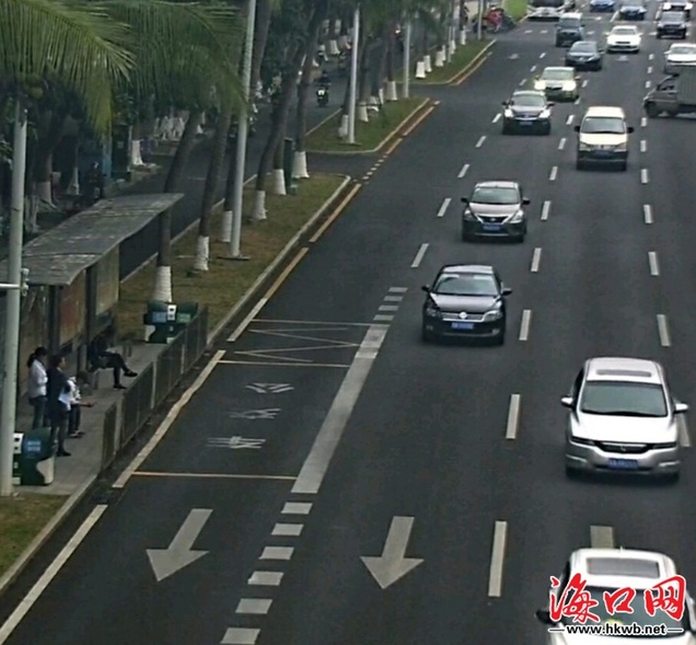 海口司机 你认识公交车站"停靠站标线"吗?