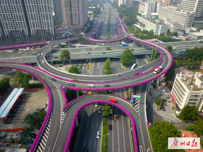 黄埔立交桥的美景第三站▼▼▼客村立交的花带第二站▼▼▼东风路的