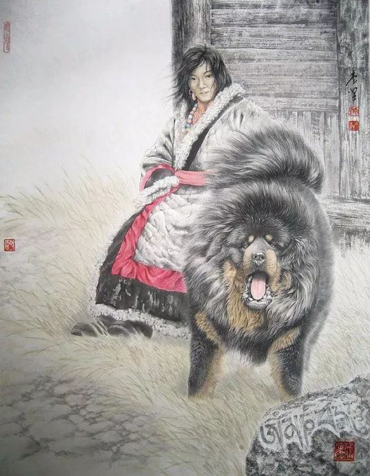 凶猛的藏獒!水墨和工笔进行了有机的结合!|工笔|水墨|国画家_新浪新闻