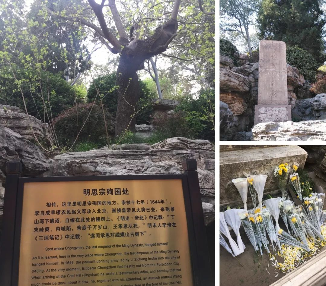 失控的命运:阿九背后的长平公主