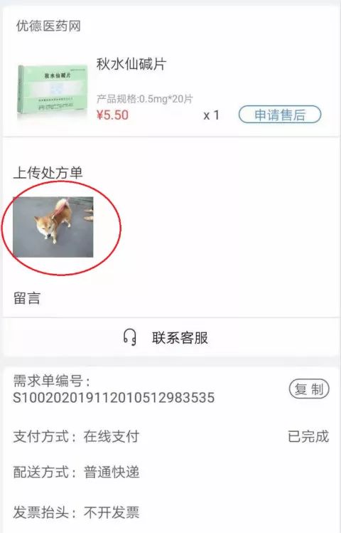 宠物照片充当处方通过审核 优德医药网截图
