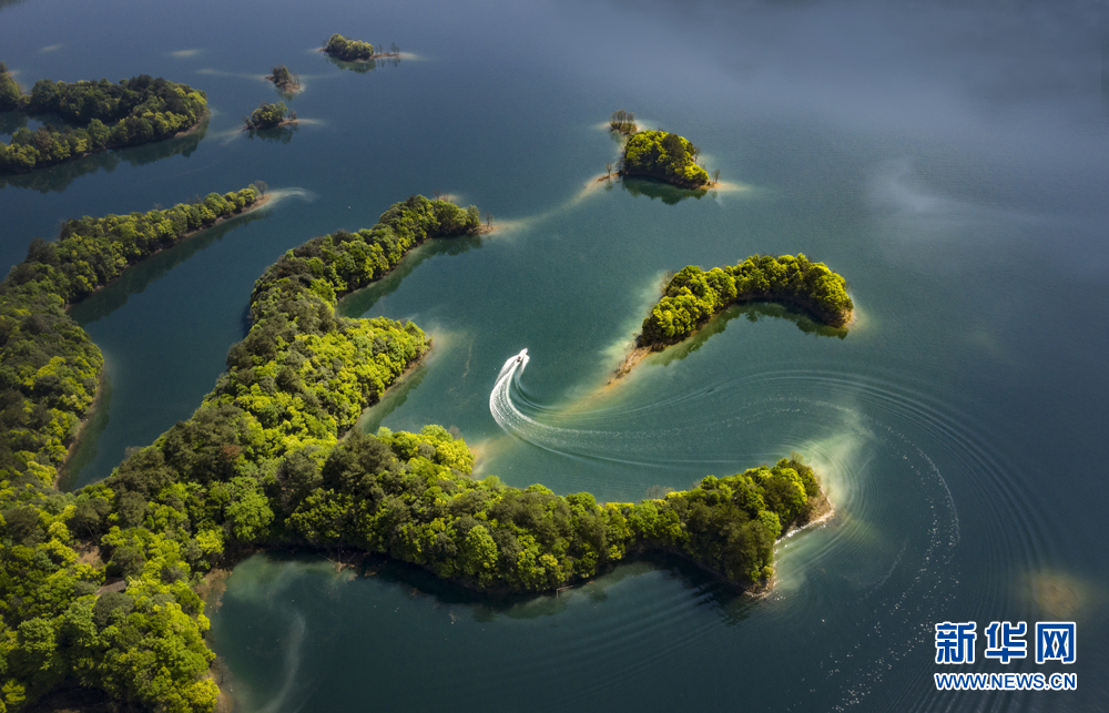 航拍:山青水更绿 春满太平湖