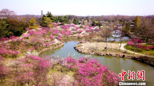 江苏三市官方宣布“入春” 均比常年提前10多天 江苏三市官方宣布“入春” 均比常年提前10多天