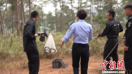 图为民警将眼镜王蛇放归大自然。文山州自然资源公安局供图