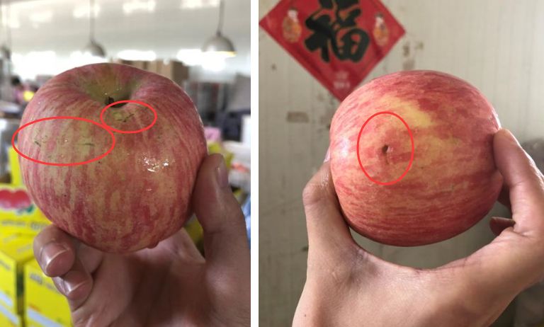 让"苹果"疯狂的并非传说的减产 后市盯紧六大疑团