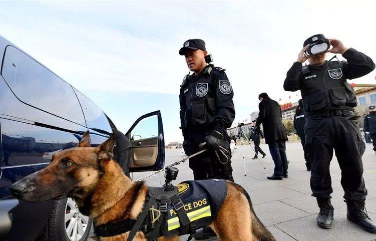 留学生在日本被残忍分尸,中国警方赴日现场调查,案情有新进展