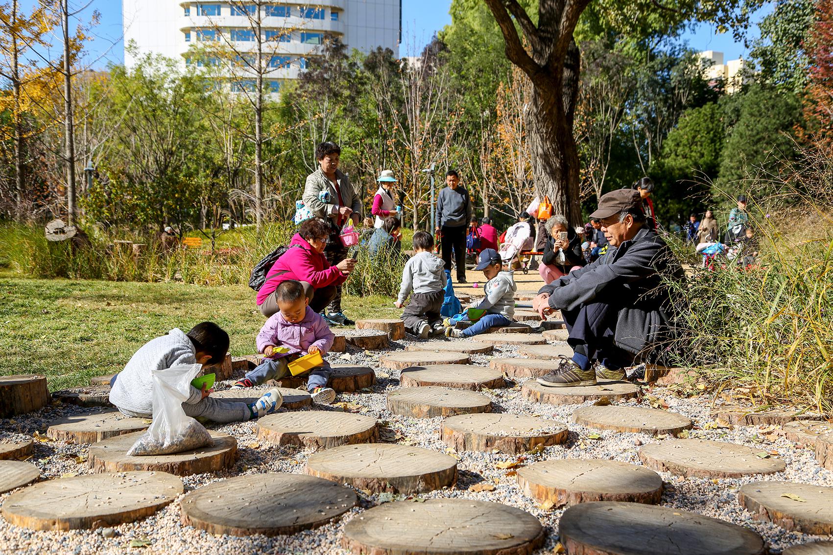 10月31日，市民在东城区新中街城市森林内休憩。供图：北京市园林绿化局 何建勇摄