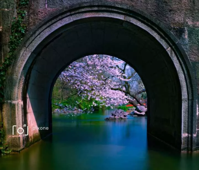 西湖边一个洞 吸引了全杭州的摄影师|太子湾|怡乐|桥洞_新浪新闻