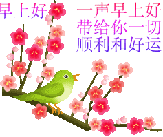 快收.藏~|表情|太美|问候_新浪新闻