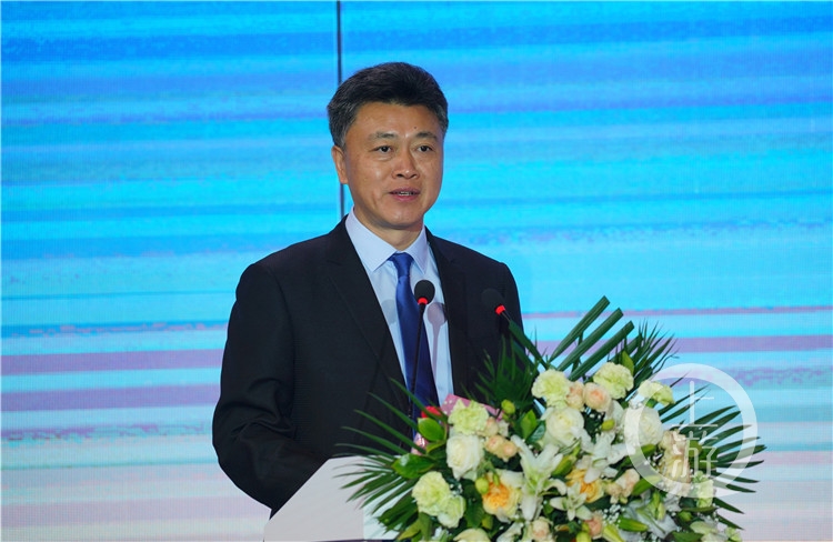 重庆市"青马工程"青年教师骨干科研项目对接会召开