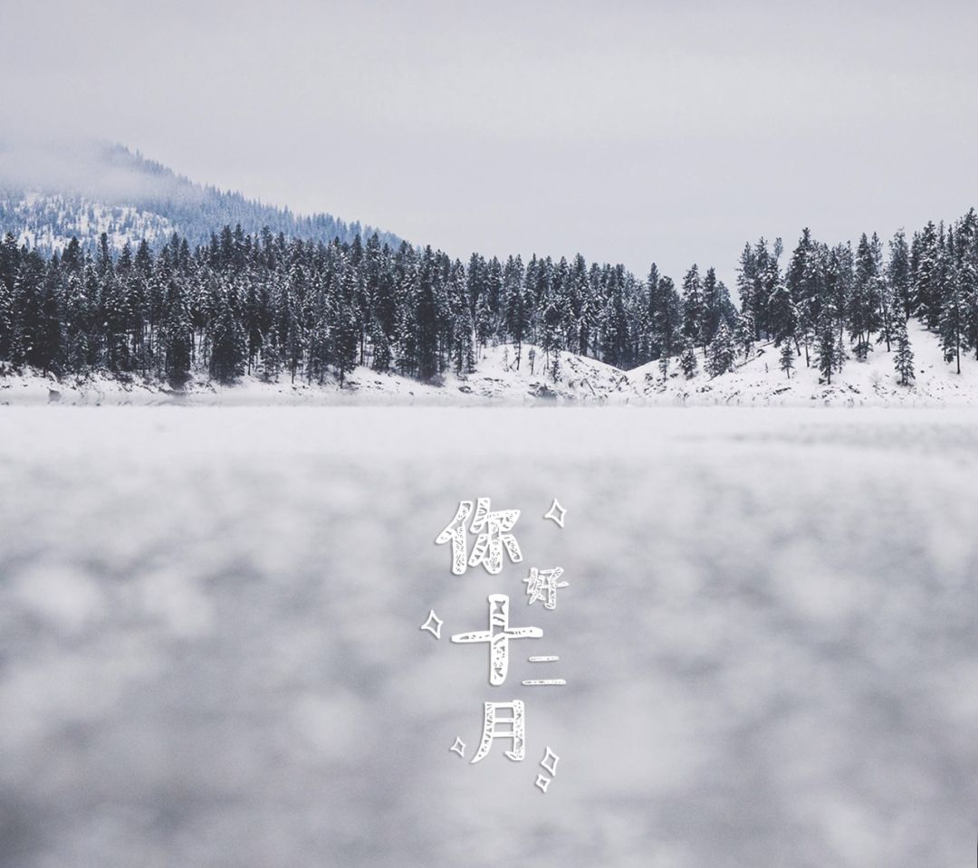 十二月|愿你我无恙,幸福无忧