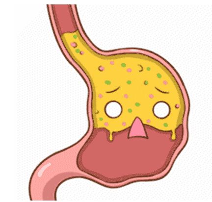 慢性萎缩性胃炎,慢性疣状胃炎,胃息肉,慢性胃溃疡病,肠上皮化生和胃