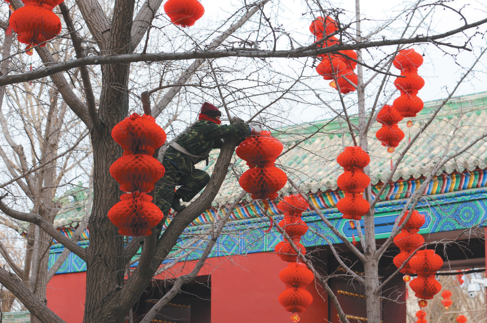 新京报记者 王贵彬 摄【城市表情】大红灯笼高高挂时间:1月7日 地点
