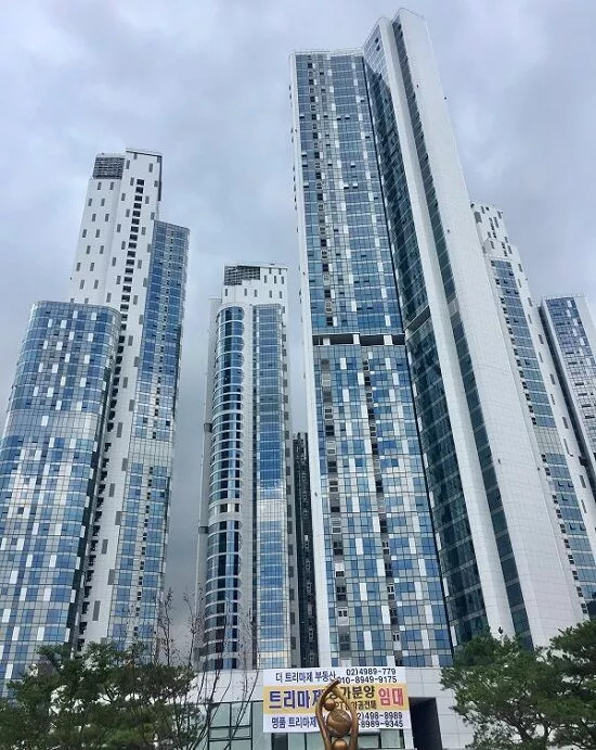 养老计划是靠存款过爱豆中的rich代表是