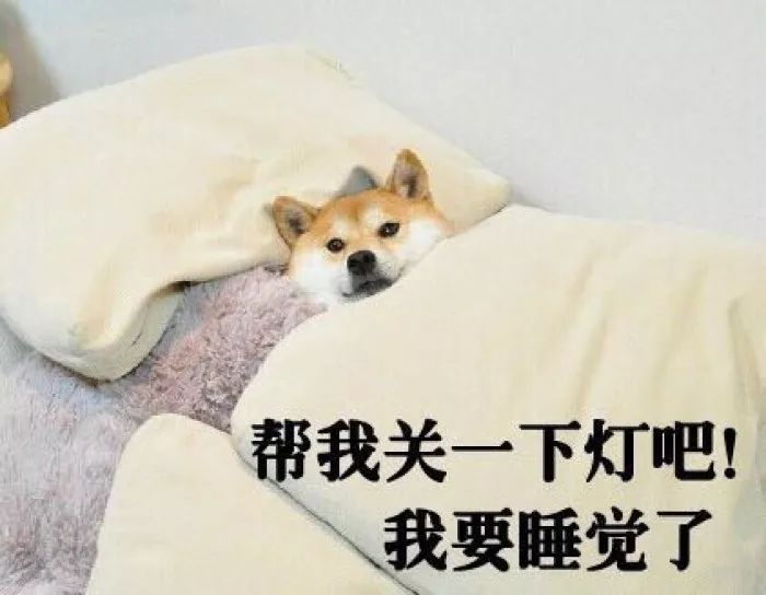 『 狗狗都知道要对自己好一点,那你呢  』