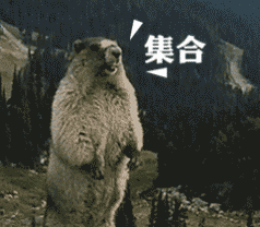 表情包一组无系列的沙雕表情包斗图必备