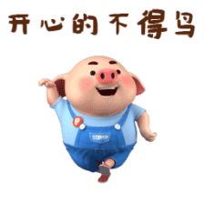 在抖音上线50天涨粉200万这应该是猪年最得意的一只猪了吧