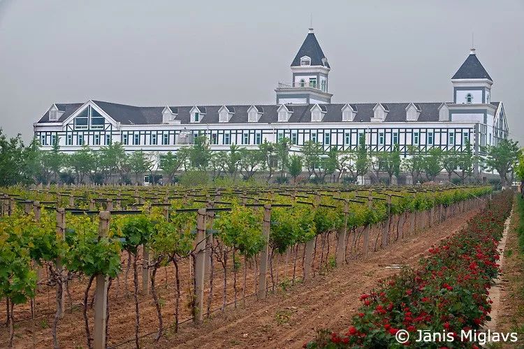 美国摄影大师镜头下的中国葡萄酒庄图鉴