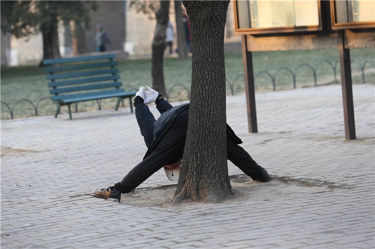 大爷靠在树上压腿压腰做准备活动.一女士用改良的健身器材健身.