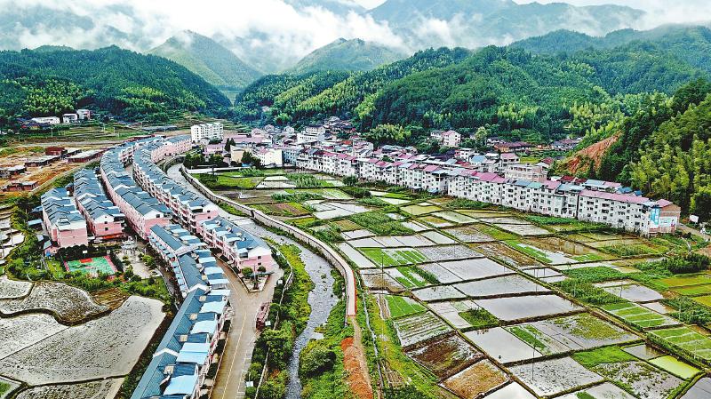 推进乡村振兴的行动指南--解读乡村振兴战略首