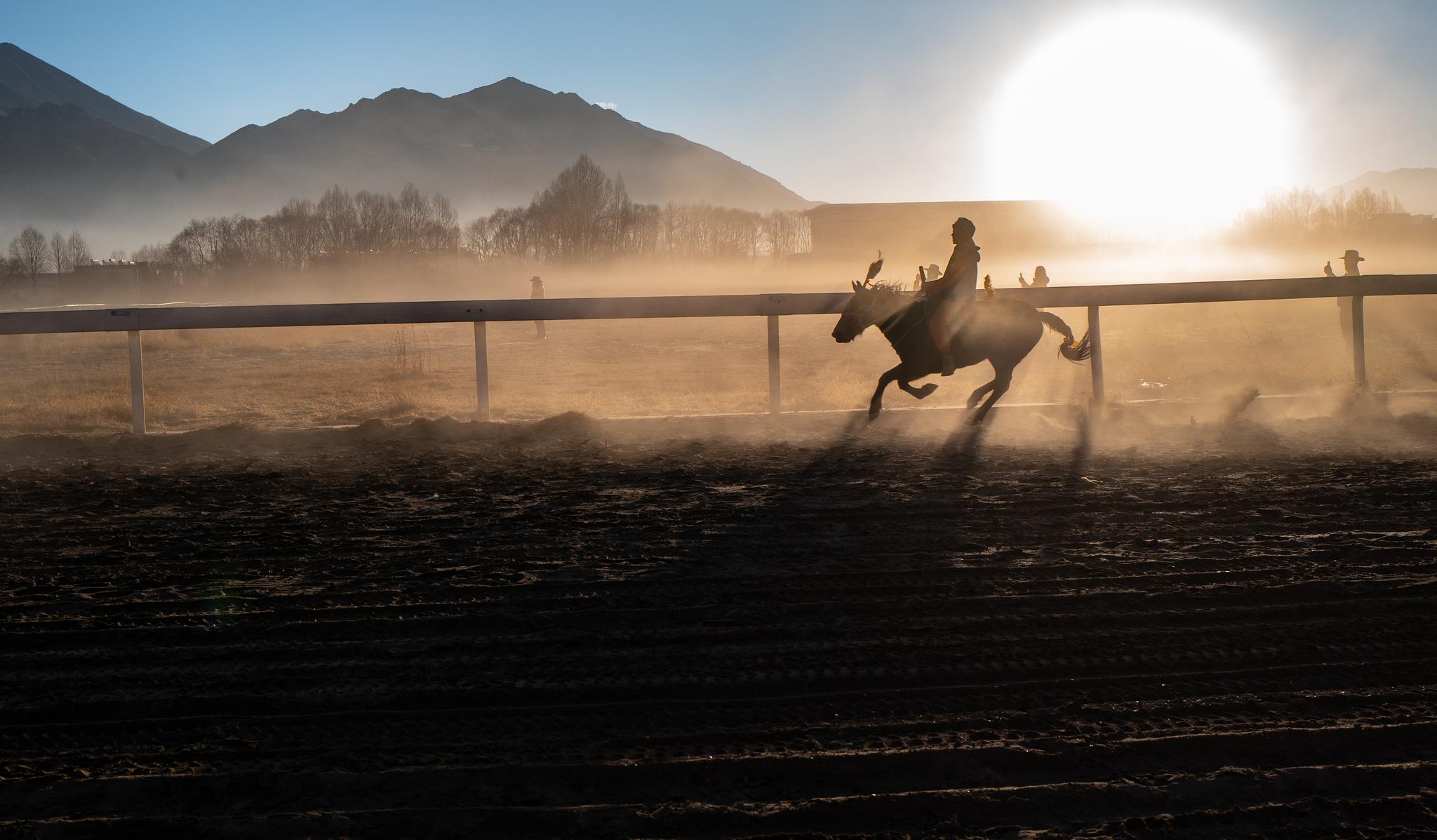 西藏:赛马庆新年