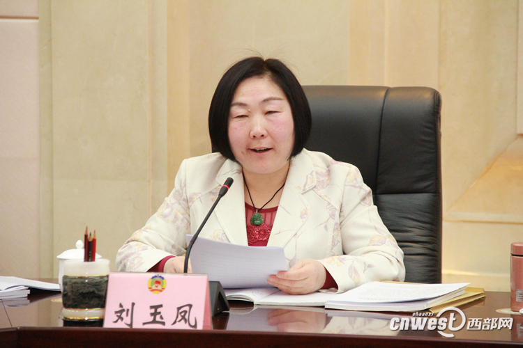 刘玉凤行政部门守住安全底线鼓励企业用现代科技