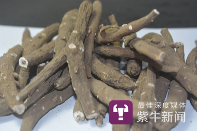 【紫牛面对面】"可御可萌"主持人周涛:南京倾情写"情书"