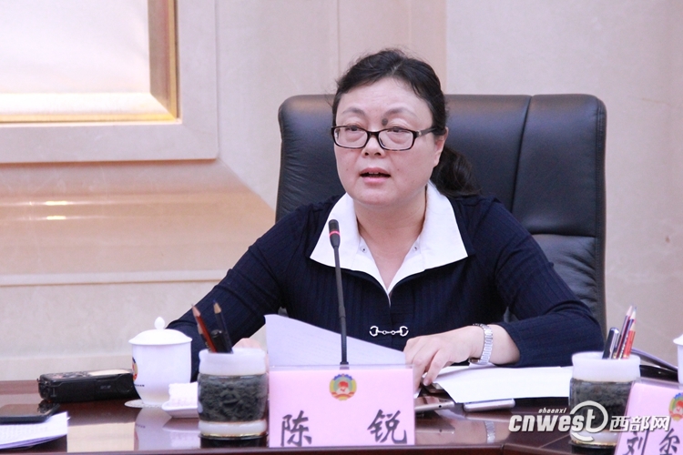 陈锐:将大西安建设成西部首个千亿"氢谷"产业集聚区