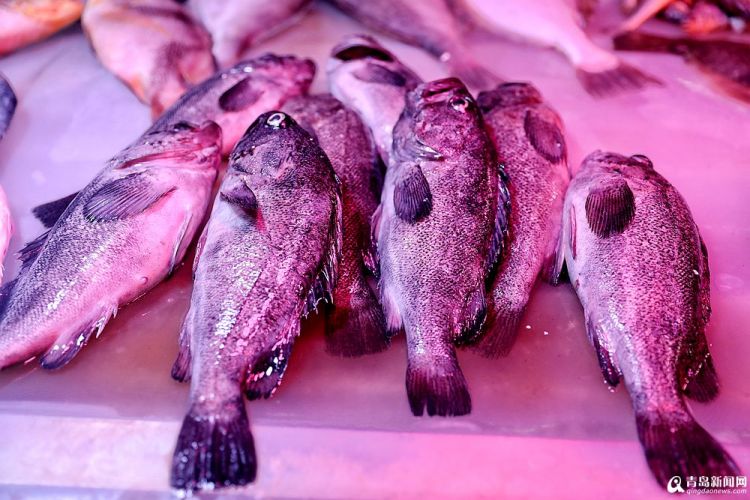 笔管35元一斤.梭子蟹50-80元一斤.