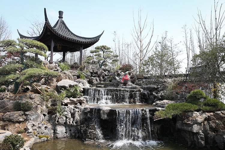 吸引眼球世园会开幕倒计时各国风情园艺齐聚组图