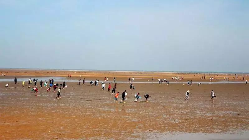 听说你想去日照赶海拾贝、狂吃海鲜?巧了,与我