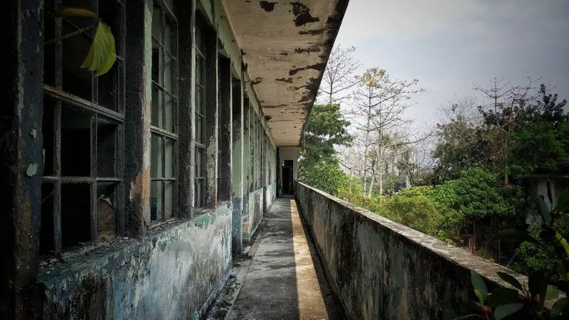 2017年的最后一天,乌陵去了一处位于京郊的废弃屠宰场.