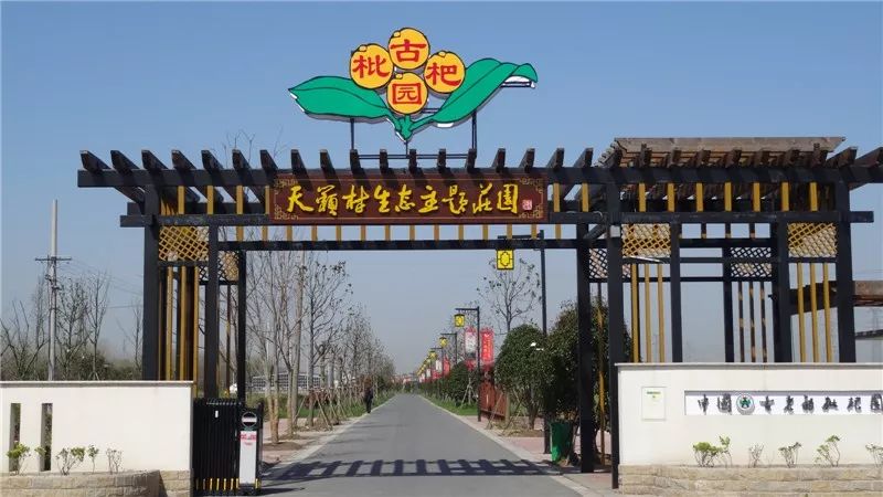 枇杷古园1个中国美丽乡村,8个全国休闲农业与乡村旅游示范点,1个省级