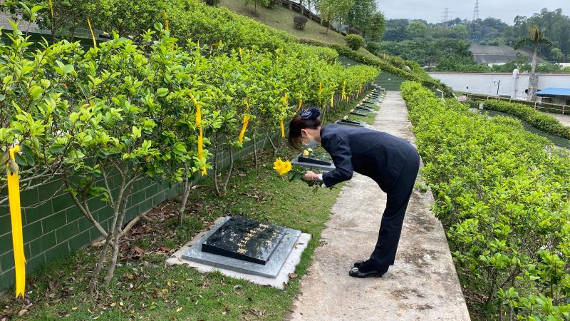 这个特别的清明,有他们温情守护逝者