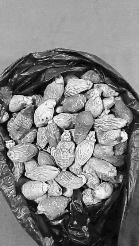 医院门前卖神药治百病?实为槟榔!